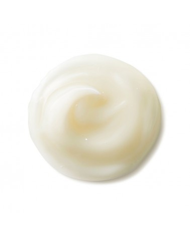 Shiseido BENEFIANCE NUTRIPERFECT Eye Cream 15ml
