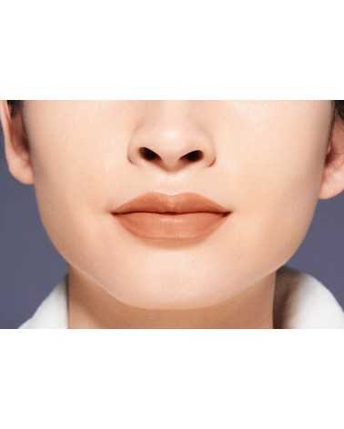 Shiseido VisionAiry Gel Lipstick 201