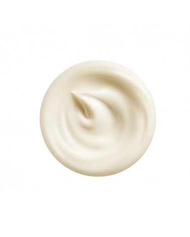 Shiseido Intensive WrinkleSpot Treatment 20 ml